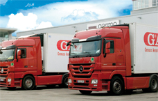 handel lkw flotte