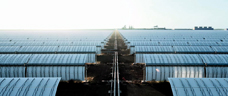 siemens solarthermiekraftwerk klein